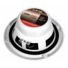 Paar marine speakers 2x120 W 16 cm SWR6004