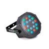 IBIZA Projektor RGB-LEDs 18x1W PARLED118