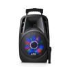 Altavoz portátil LED de 8 "/ 20cm 300W RGB con USB / Bluetooth / FM / MICRO