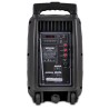 Altavoz portátil LED de 8 "/ 20cm 300W RGB con USB / Bluetooth / FM / MICRO