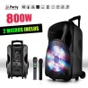 Enceinte sono mobile amplifiée 800W 15" LED/USB/BT/SD/FM + 2 micros sans-fil PARTY15