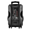 Enceinte sono mobile amplifiée 800W 15" LED/USB/BT/SD/FM + 2 micros sans-fil PARTY15