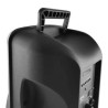 Encente batería de sonido de 8 "400W LED RGB USB / SD / BT + micro ondas métricas - MyDJ Djoon08