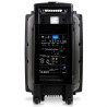 standalone draagbaar systeem 8 "400W - USB / REC / VOX / BLUETOOTH + 1 + 1 VHF Micro Micro Wired