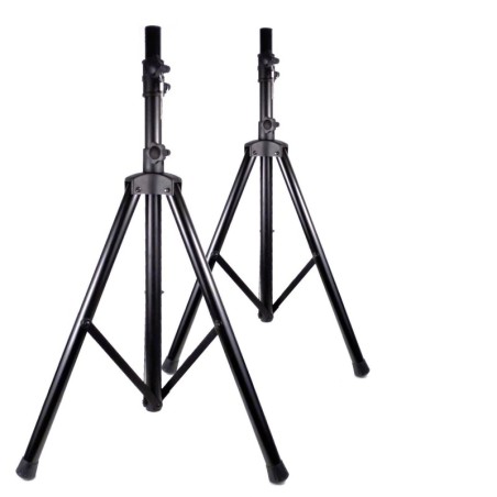Paar voet zwanger + draagtas -