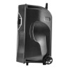 Mobile Active spreker 800W 15 '' LEDs Rvb USB / BT / SD / FM PARTY15