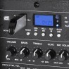Altoparlante portatile PA 15 "800W - USB / BT / REC + 2 microfoni VHF - Ibiza suono PORT15VHF-BT