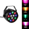 Projector-Light spel door LED 12x1W RGBW DMX - Pure Light Florida