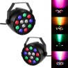 Set van 2 lichte type games PAR 12x1W RGBW LEDs DMX - Pure Light Florida