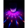 Mini Jeu de lumière effet Derby à LEDs RVBB - Ibiza Light DERBY-MINI