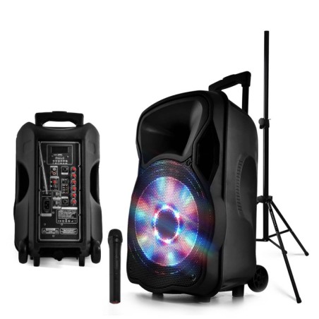 Enceinte sono mobile amplifiée 700W 12" LED/USB/BT/SD/FM + Micro sans fil + Pied PARTY12