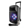 Enceinte portable sur batterie 8"/20cm - 300W - USB/BLUETOOTH/MICRO - Party-8LED