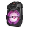 Enceinte portable 8"/20cm 250W avec USB/BLUETOOTH/FM - Party Light & Sound HANDY250