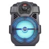 Enceinte portable 8"/20cm 250W avec USB/BLUETOOTH/FM - Party Light & Sound HANDY250