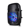Enceinte mobile amplifiée PARTY-8LED 8" 300W à LEDs RVB USB/BLUETOOTH/FM/SD/MICRO