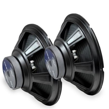 Lot de 2 Haut-Parleurs 12 " 200W 8Ohm 92Dbv