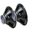Lot de 2 Haut-Parleurs 12 " 200W 8Ohm 92Dbv