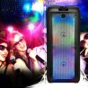 Enceinte Active - FestiSound SRX208 - 500W - 2x 8" à LED - Autonome sur Batterie Bluetooth USB SD TWS - Micro fil