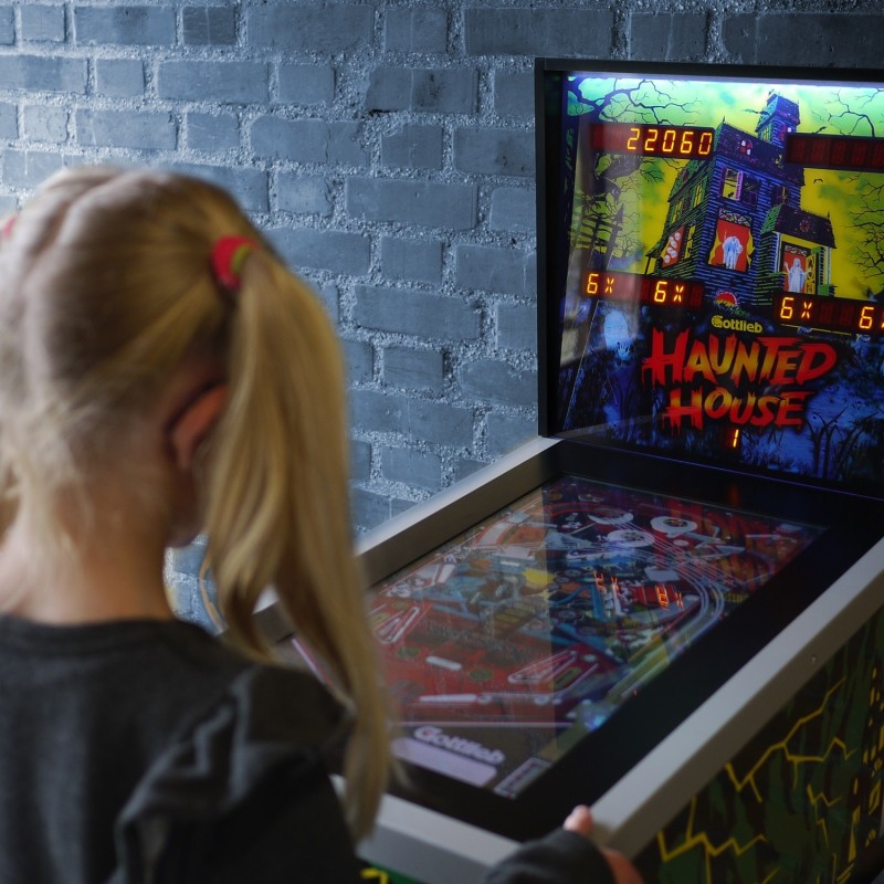 Flipper numérique avec écran LCD 24