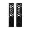Paire d'enceintes Hifi/Home-Cinéma - Evidence Acoustics EA700-BK -  2x500W PMPO - Bass Reflex à 3 voies - Noir