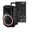Enceinte Active - FestiSound FESTI12 - 12" 31CM - 600W - sur Batterie - Effet RING LED - USB SD Bluetooth TWS - 2 Micros