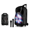 Enceinte sono mobile amplifiée 800W 15" LED/USB/BT/SD/FM + Micros sans-fil/filaire PARTY15