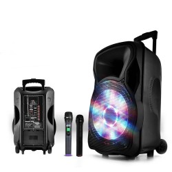 Enceinte sono mobile amplifiée 800W 15" LED/USB/BT/SD/FM + 2 micros sans-fil PARTY15