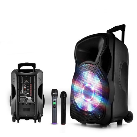 Enceinte sono mobile amplifiée 800W 15" LED/USB/BT/SD/FM + 2 micros sans-fil PARTY15