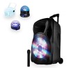 Altavoz activo móvil 700W 12 "LED / USB / BT / SD / FM + micrófono + 3 Luz fija LytOr