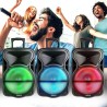 Enceinte amplifiée Karma PSB12" 600W PMPO, Mobile sur batterie, LED, 1 micro VHF, 1 filaire, USB SD Bluetooth, TWS, Support Pied