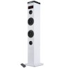 Tour de Son Bluetooth 50W NGS SKYCHARM avec Télécommande, Entrée Optique, USB, Radio FM et AUX in (Couleur White)