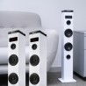 Tour de Son Bluetooth 50W NGS SKYCHARM avec Télécommande, Entrée Optique, USB, Radio FM et AUX in (Couleur White)
