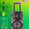 Enceinte portable 120W NGS WILDDUBZERO - 8" WOOFER COMPATIBLE avec TECHNOLOGIE BLUETOOTH ET TWS - USB/SD/BT. Batterie 7 HEURES