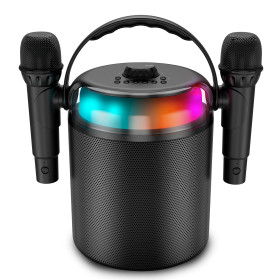 Enceinte Autonome Ledwood PLAYKARAOKE 120W, LED RVB, Bluetooth USB, 2 Micros sans fil, Effets Vocaux, Compatible TV Connectée