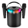 Enceinte Autonome Ledwood PLAYKARAOKE 120W, LED RVB, Bluetooth USB, 2 Micros sans fil, Effets Vocaux, Compatible TV Connectée