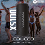 Enceinte Hifi Autonome 100W Ledwood XS100, Effet LED, Buetooth USB, TWS, IPX5, Assistant Vocal, 10W RMS, Batterie 2000mAh