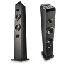 Tour de son Ngs SKYCHARMPRO Puissance 50W, Fonction d'appairage multiple, Bluetooth, USB, Entrée Optique, Entrée Microphone