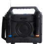 Pack Karaoké Ibiza Sound KARAVISION - Enceinte 150W Karaoke sans Fil Nomade avec écran, 2 Micros VHF - Bluetooth USB SD RADIO FM