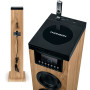 Tour de son Thomson DS122CD - 60W - Multimedia Bluetooth, Lecteur CD, télécommande, AUX IN, RADIO FM - Bois/Noir