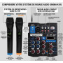 Pack Sono DJ BM SONIC Amplificateur 1000W, Paire d'Enceintes 8 pouces , Câbles, table de mixage 2 micro sans fils ,BT /USB