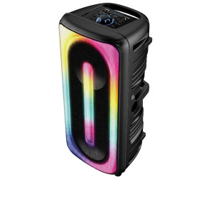 Pickering Enceinte Bluetooth 5.0 Amplifiée 300W TWS Rechargeable LED Microphone USB MicroSD Noir