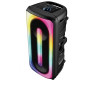 Pickering Enceinte Bluetooth 5.0 Amplifiée 300W TWS Rechargeable LED Microphone USB MicroSD Noir