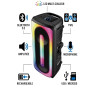 Pickering Enceinte Bluetooth 5.0 Amplifiée 300W TWS Rechargeable LED Microphone USB MicroSD Noir