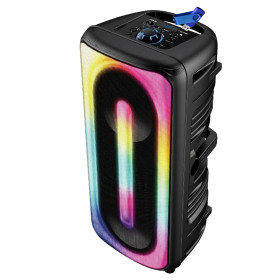 Pickering Enceinte Bluetooth 5.0 Amplifiée 300W TWS Rechargeable LED Microphone USB MicroSD Noir