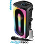 Pickering Enceinte Bluetooth 5.0 Amplifiée 300W TWS Rechargeable LED Microphone USB MicroSD Noir