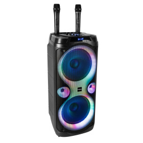 Ibiza COLUMBA-KARAOKE Enceinte Autonome 2x8" 1000W Bluetooth USB Micro SD FM TWS Micro Filaire Télécommande LED