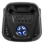 Ibiza COLUMBA-KARAOKE  2x8" 1000W Bluetooth USB Micro SD FM TWS Micro Filaire Télécommande LED