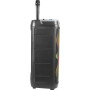 Ibiza COLUMBA-KARAOKE  2x8" 1000W Bluetooth USB Micro SD FM TWS Micro Filaire Télécommande LED