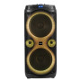 Ibiza COLUMBA-KARAOKE  2x8" 1000W Bluetooth USB Micro SD FM TWS Micro Filaire Télécommande LED