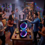 Ibiza COLUMBA-KARAOKE  2x8" 1000W Bluetooth USB Micro SD FM TWS Micro Filaire Télécommande LED